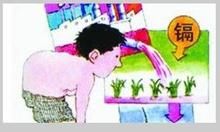 鎘及其化合物中毒 鎘及其化合物中毒