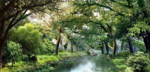 十里水鄉 十里水鄉