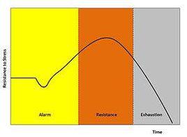 壓力適應的三個階段 壓力適應的三個階段
