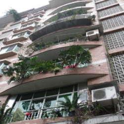 黃溪口65號 黃溪口65號