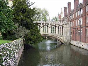 （圖）法蘭克福大學