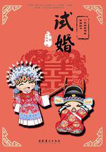 80後作家安寧第6本書《試婚》。長篇小說