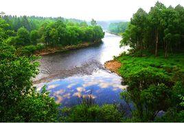 大沾河國家森林公園 大沾河國家森林公園