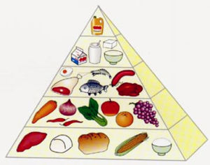 產能營養素 產能營養素