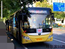 哈爾濱公交55路 哈爾濱公交55路