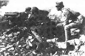 抗日戰爭萬家嶺大捷