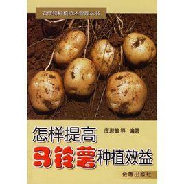 怎樣提高馬鈴薯種植效益