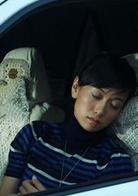 禁區[2009年張豐毅主演電視劇]