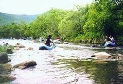 大亮子河國家森林公園