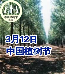 中國植樹節