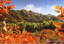 小龍門森林公園圖片