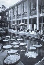 保羅&middot;門德斯&middot;達&middot;洛查作品