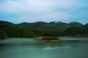 新榮水庫 新榮水庫