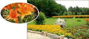 黑龍江省森林植物園