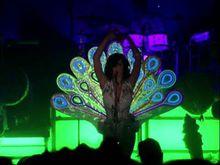 Peacock 現場表演