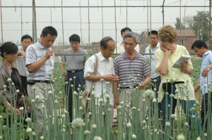 安陽市農業科學院