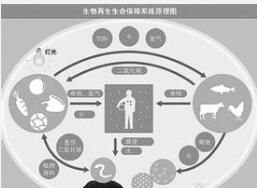 人與生物圈計畫 人與生物圈計畫