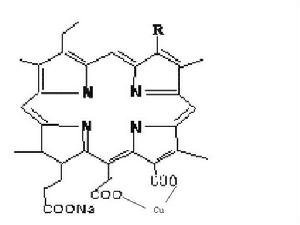 葉綠素銅鈉鹽