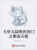 斗羅大陸絕世唐門之紫夜天使 斗羅大陸絕世唐門之紫夜天使