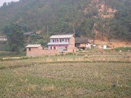 大田村[雲南省文山州廣南縣者太鄉大田村]