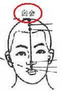 囟會穴 囟會穴