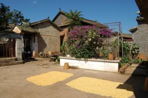 巡檢自然村 巡檢自然村