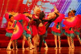 貓蝶富貴 貓蝶富貴