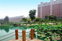 周邊配套-綠茵港灣