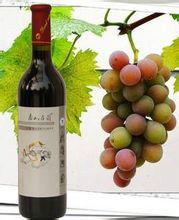 卡本妮·索維農 卡本妮·索維農