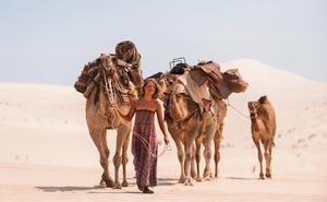 Tracks[澳大利亞2013年約翰·卡蘭執導電影]