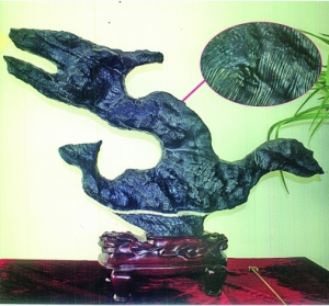 靈璧磬石上驚現“兩龍一鳳”