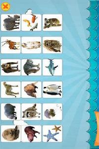 兒童學動物卡片 兒童學動物卡片