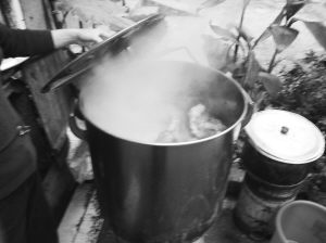 （圖）罌粟殼火鍋