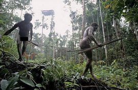 澳大利亞土著 澳大利亞土著