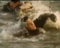 特警出擊電視截圖