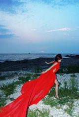 我想你是我夢中情人 我想你是我夢中情人