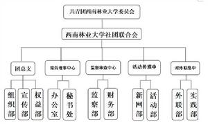 社團聯合會組織架構