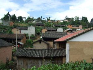 馬鹿塘村 馬鹿塘村