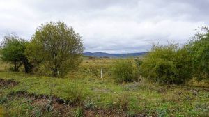 牛屎箐村 牛屎箐村