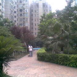 朝陽逸景 朝陽逸景