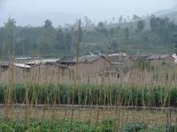 晏公廟村 晏公廟村