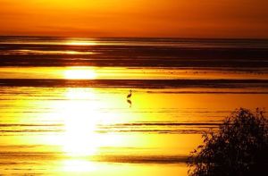 卡奔塔利亞灣 卡奔塔利亞灣