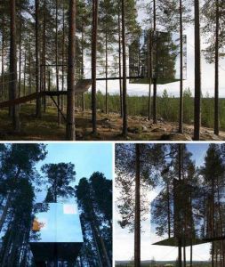 反射樹上酒店 反射樹上酒店