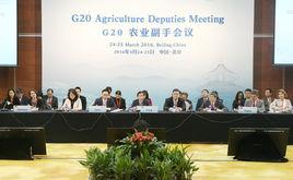 2016年二十國集團峰會 2016年二十國集團峰會