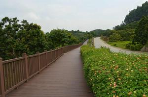 羅湖綠道5號線 羅湖綠道5號線