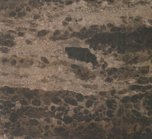 黃金海岸-正切 黃金海岸-正切