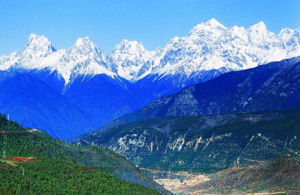 芒康滇金絲猴自然保護區 芒康滇金絲猴自然保護區