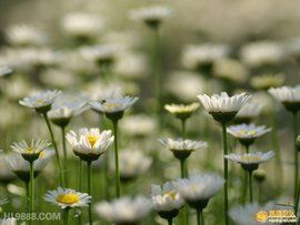 賞心悅目 賞心悅目