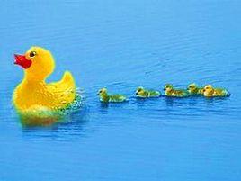 印刻現象 印刻現象