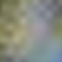 IC 2676 GALEX 彩色圖